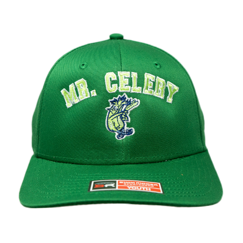 Youth Caps – Wilmington Blue Rocks